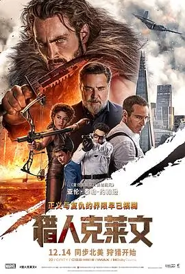 私人影视院冒险电影雪线与骰子海报
